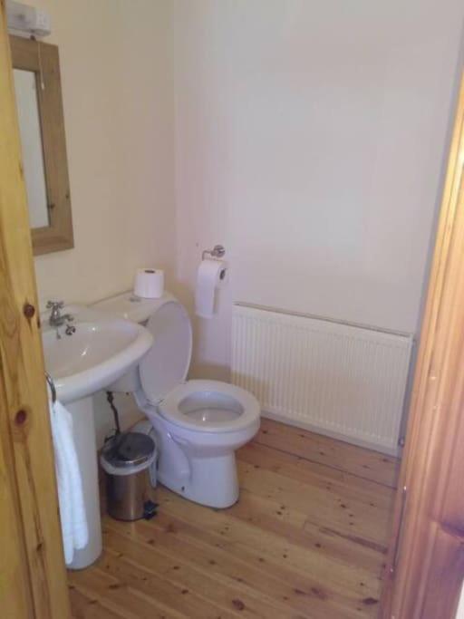 Townhouse 2 Barrow Lane Villa Carlow Luaran gambar