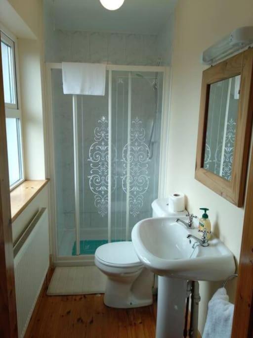 Townhouse 2 Barrow Lane Villa Carlow Luaran gambar